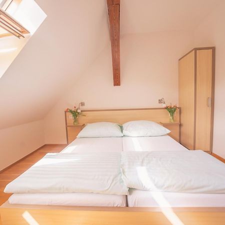 Daviduv Mlyn Hotel Stare Techanovice Luaran gambar