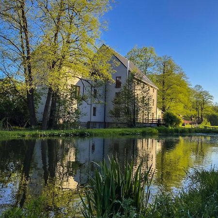 Daviduv Mlyn Hotel Stare Techanovice Luaran gambar