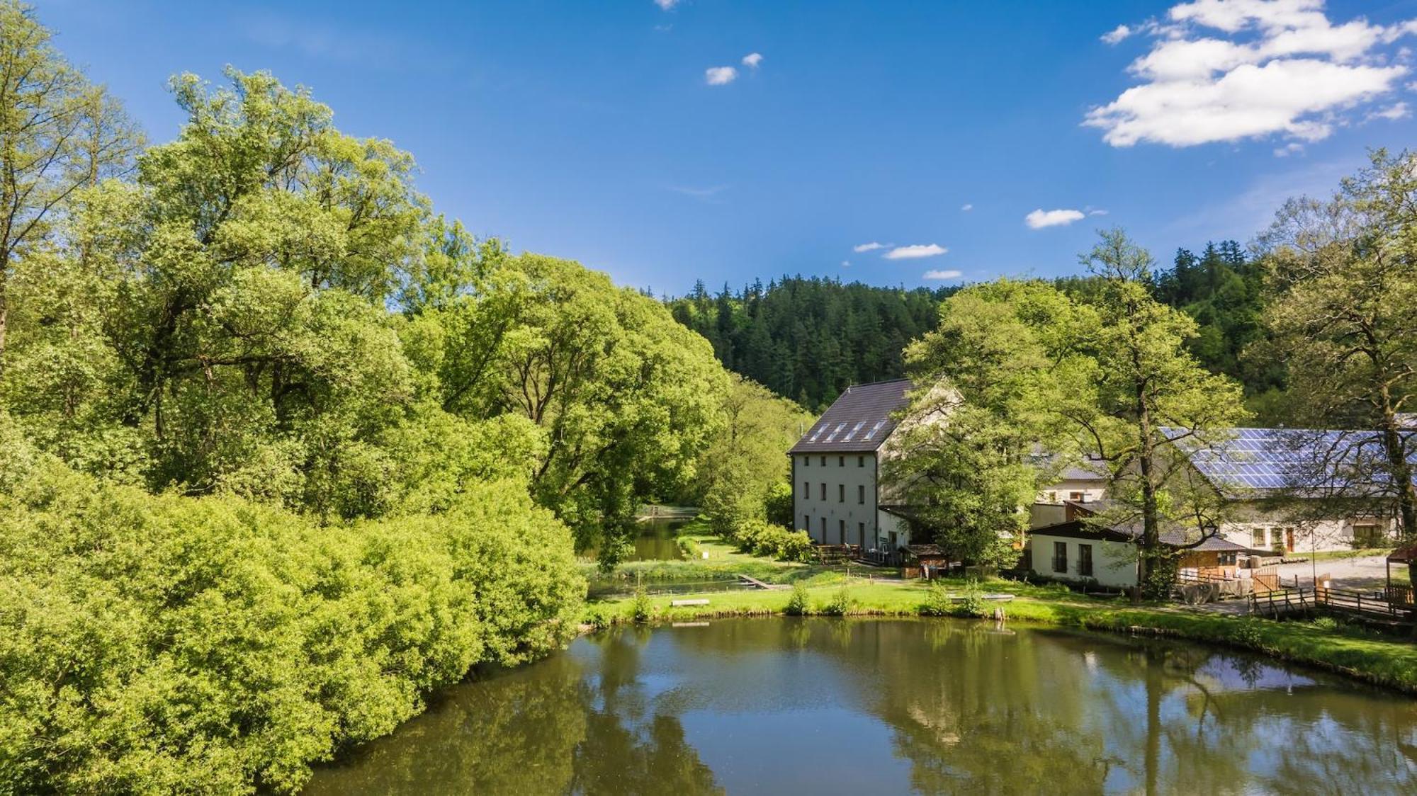 Daviduv Mlyn Hotel Stare Techanovice Luaran gambar