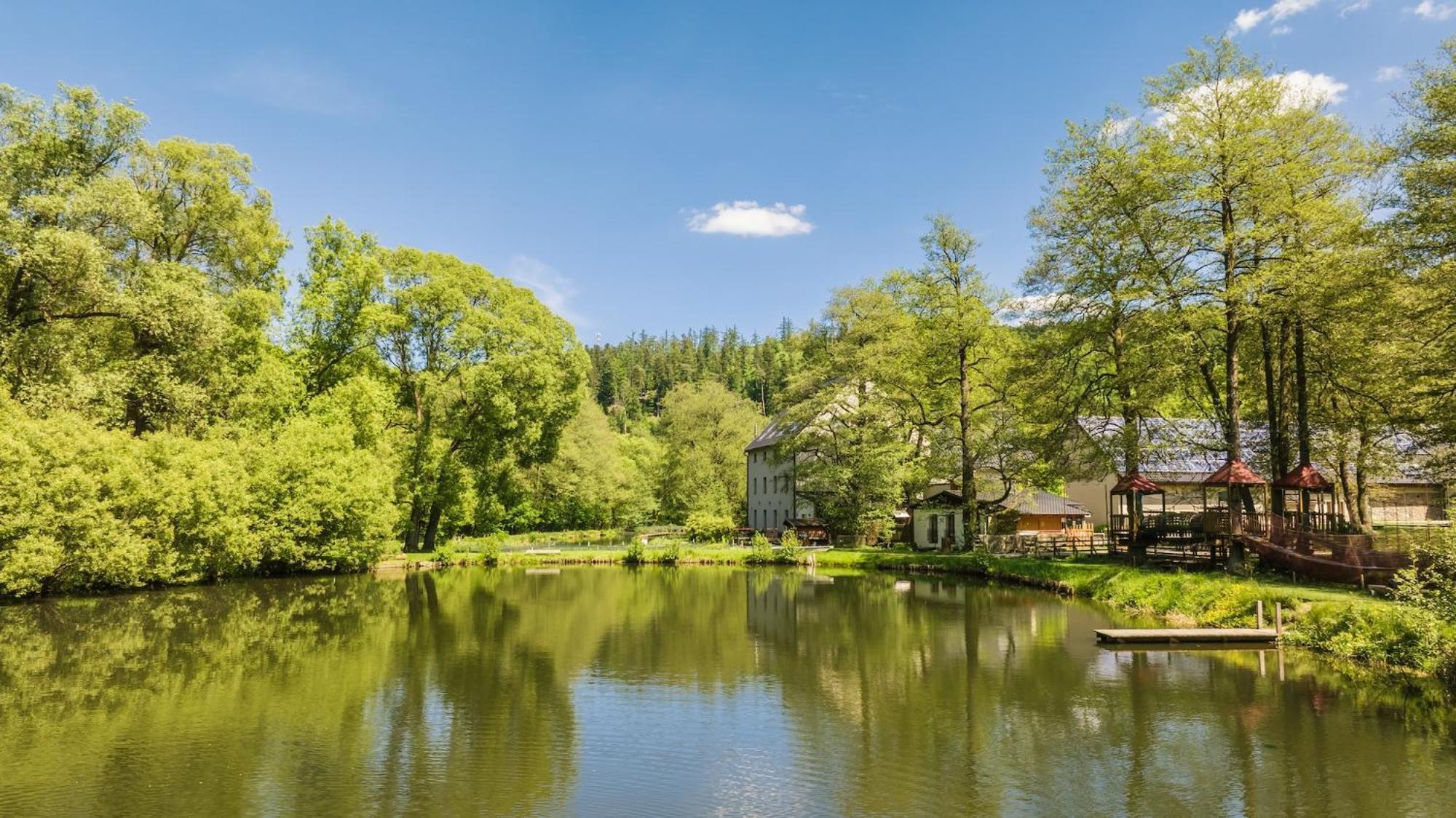 Daviduv Mlyn Hotel Stare Techanovice Luaran gambar
