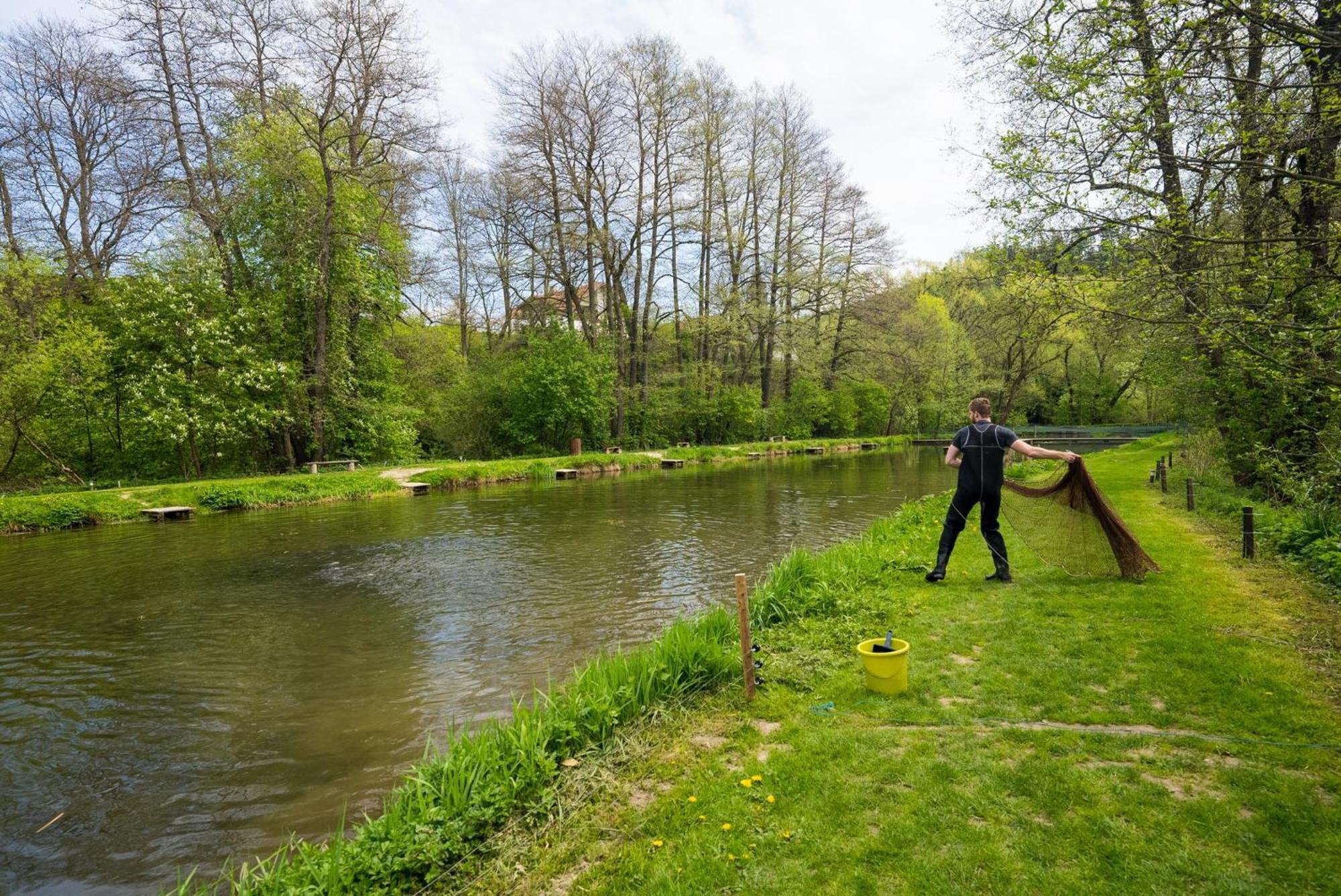 Daviduv Mlyn Hotel Stare Techanovice Luaran gambar